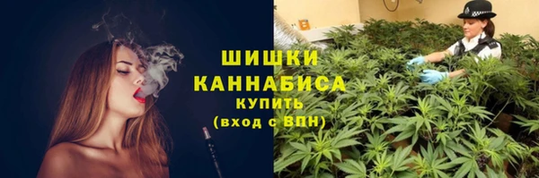 дурь Алзамай