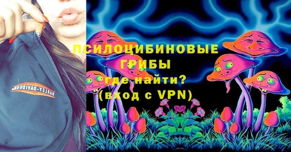 прущие грибы Алексеевка