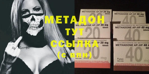прущие грибы Алексеевка