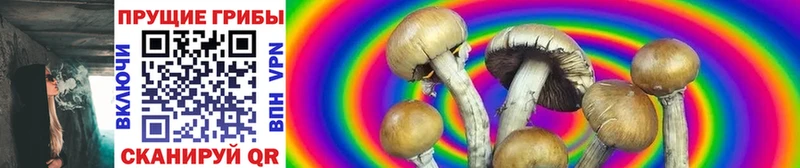 Псилоцибиновые грибы GOLDEN TEACHER  Томилино 